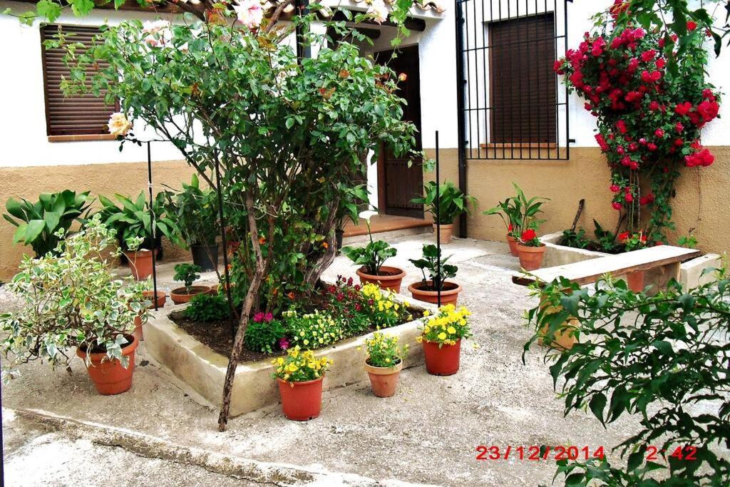Casa Del Abuelo 1 Βίλα Yeste Εξωτερικό φωτογραφία
